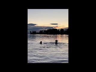 Sex in the midnight sun - RosenlundX - Vertical HD60fps