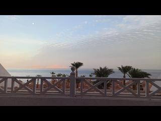 Good view and good suck from amazing woman!